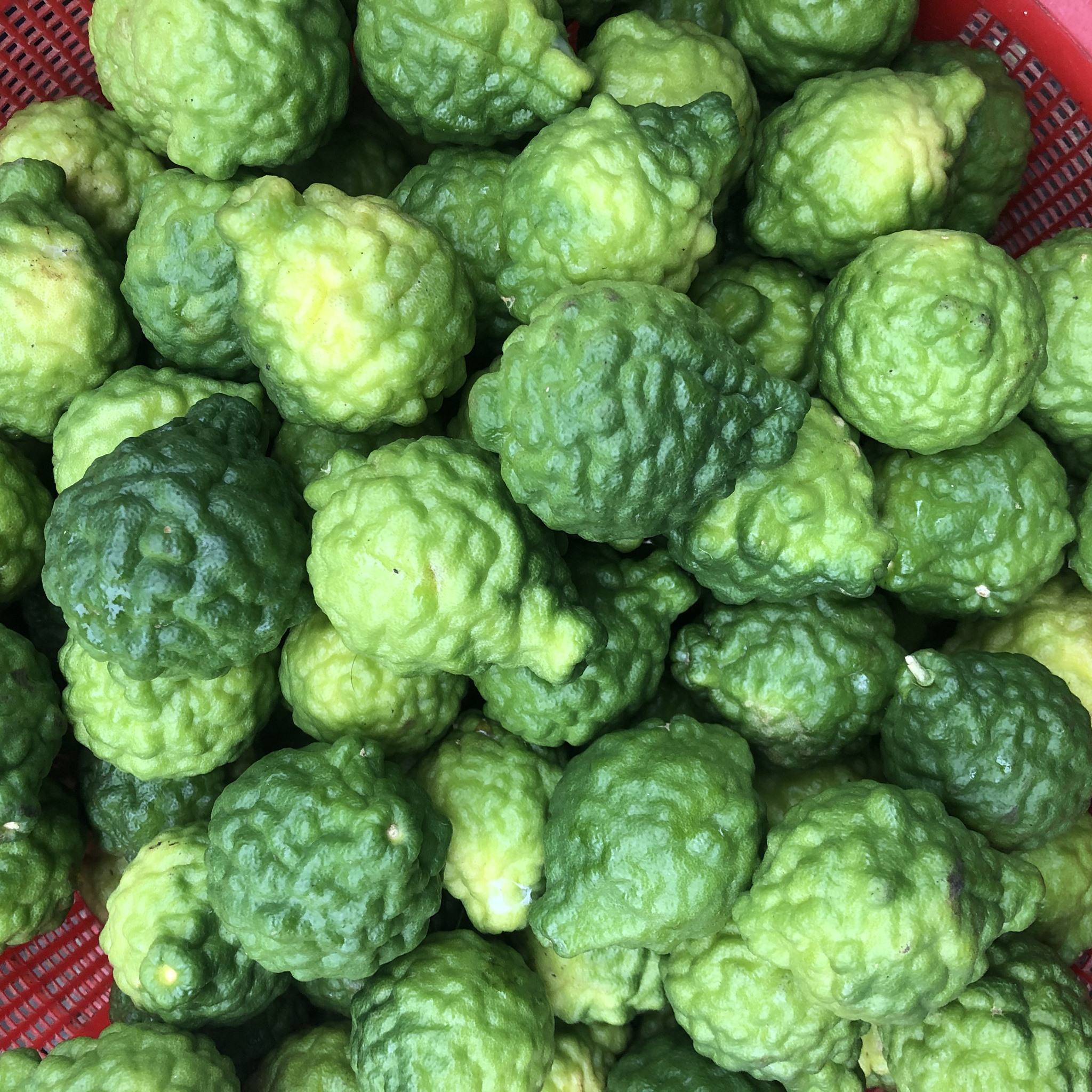 Trái Chúc tươi tại sạp