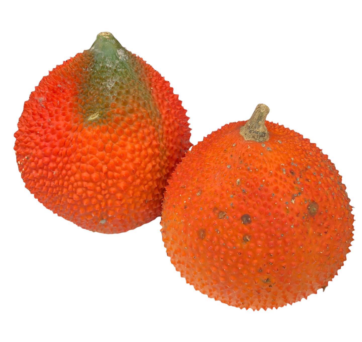 Trái Gấc tươi tại sạp